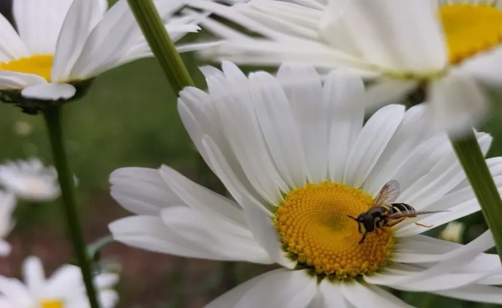 Гороскоп на 11 апреля: Раки будут красноречивы, а Стрельцам стоит немного подождать