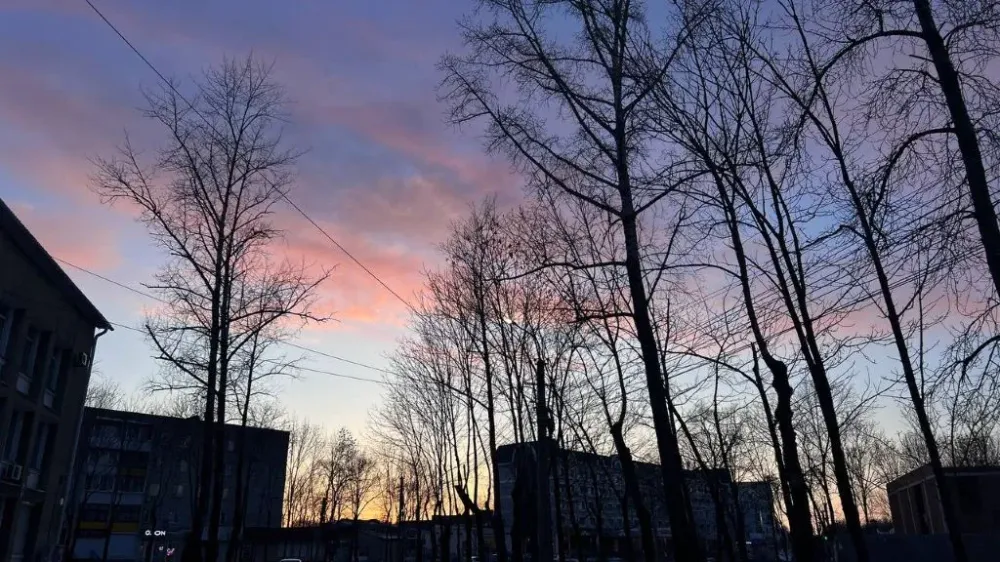 Переменная облачность и ветер: погода на 4 апреля в ЕАО