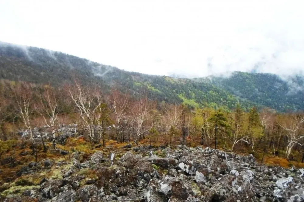 Лесные пожары начались в ЕАО