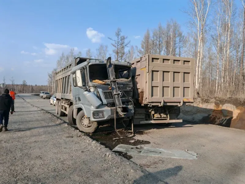Лоб в лоб столкнулись два большегруза на трассе в ЕАО