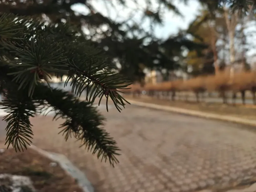 Пониженное давление и переменная облачность: погода на 10 апреля в ЕАО