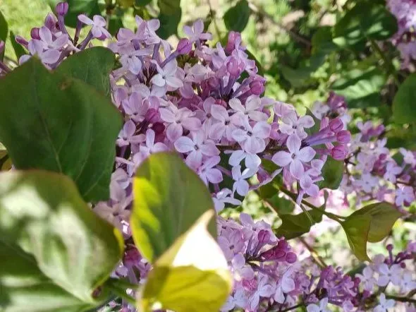 Гороскоп на 18 апреля: Раки излишне инфантильны, Стрельцы помогут многим