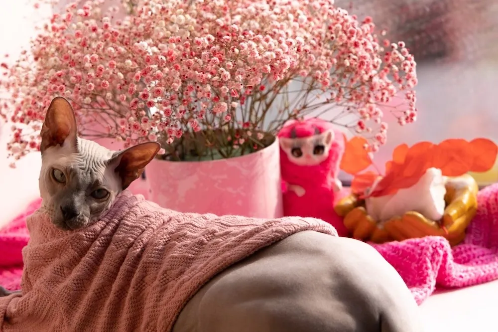 Гороскоп на 22 апреля: Овен, будьте добрее, а Рыбы будут прямолинейны