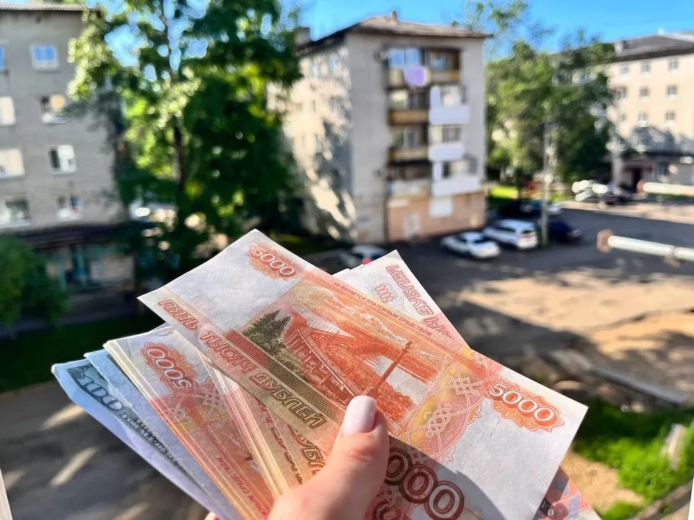 Похитили 31 миллион рублей у жителей ЕАО уроженка области и ее родственник