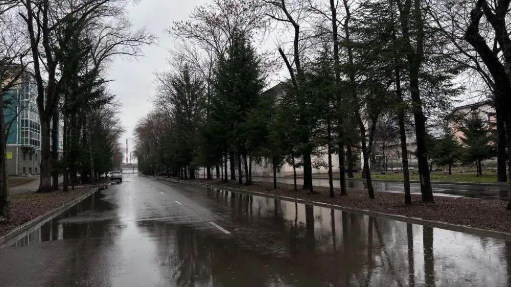 Переменная облачность и небольшой дождь: погода на 1 мая в ЕАО