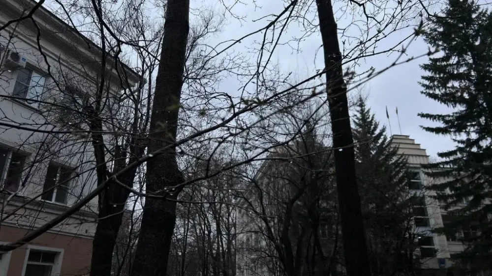 Небольшой дождь и туман: погода на 25 апреля в ЕАО