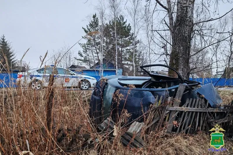 Пьяный лихач улетел в кювет, сам пострадал и пассажира покалечил в ЕАО