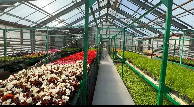 Хабаровск украсят полтора миллиона цветов