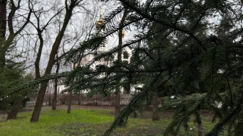 Небольшой дождь и слабый ветер: погода на 26 апреля в ЕАО