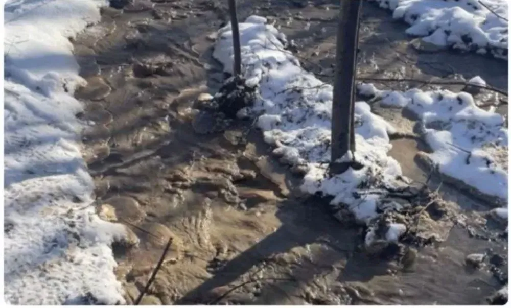 1,2 млн рублей штрафа предстоит выплатить золотодобытчикам ЕАО