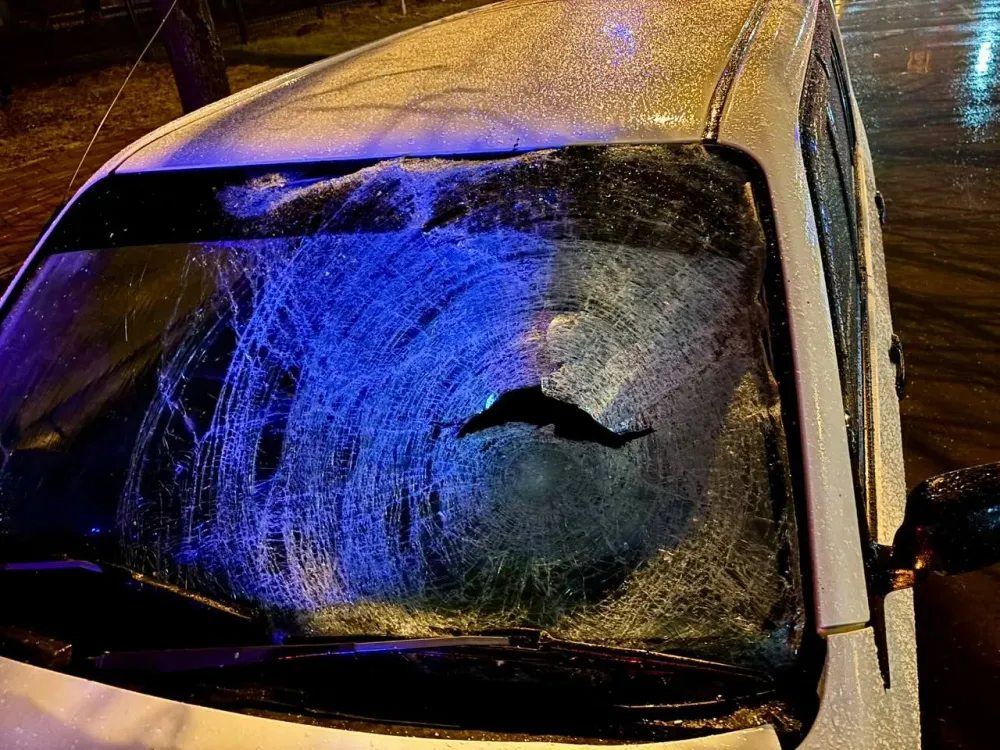 Переломали все ноги: пенсионер сбил двух девушек на зебре в Хабаровском крае