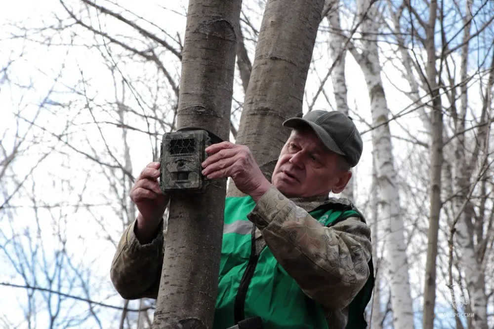 Фотоловушки установили для ловли шашлычников в Хабаровском крае