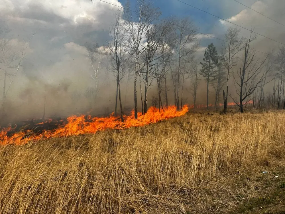 В ЕАО возбуждено 59 дел за нарушение противопожарного режима