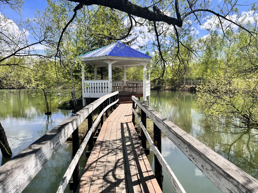 Гороскоп на 1 июня: у Дев финансовые вопросы потребуют внимания, у Весов нарушится баланс