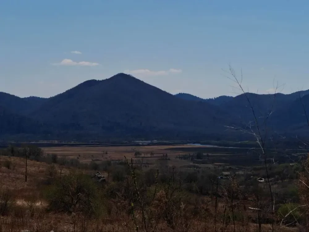 Ясно до +19°: погода на 13 мая в ЕАО