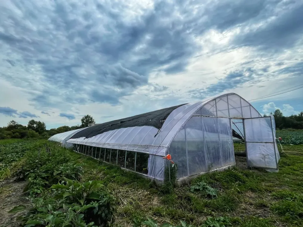 Заморозки в мае: предупреждение для Хабаровского края