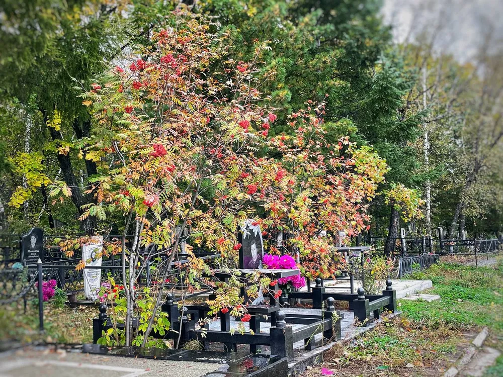 Полиция разыскивает вандалов, устроивших погром на кладбище в Приморском крае