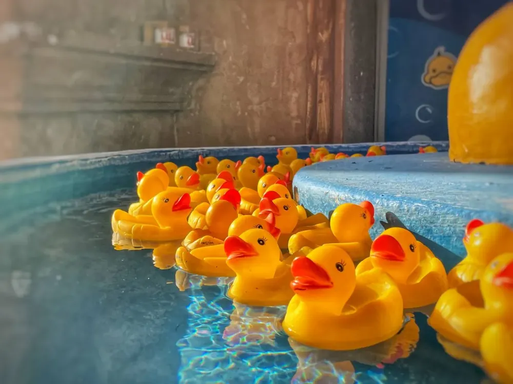 Под суд за травмы ребенка на аттракционе пойдет предприниматель из Хабаровска