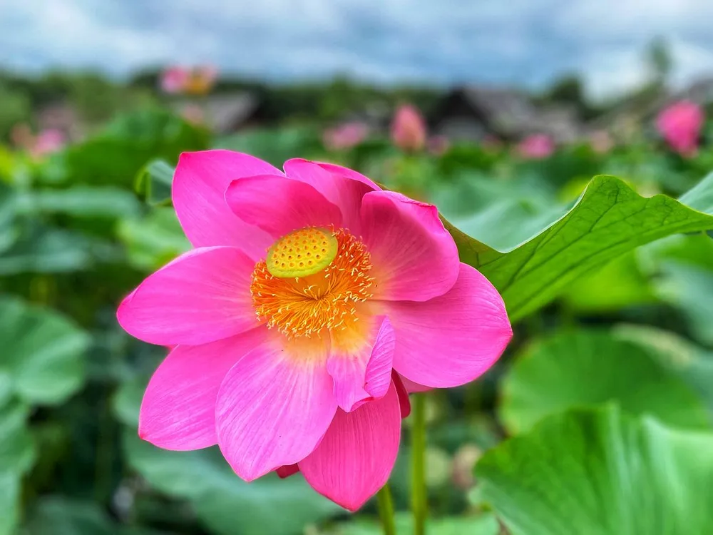 Гороскоп на 5 мая: Овны будут как рыцари, Рыбы — пересмотрите свое окружение