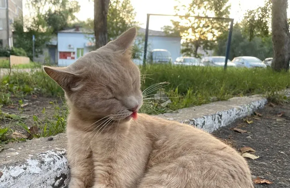 Гороскоп на 23 мая: Раки будут чувствительными, а Стрельцам стоит ждать заманчивого предложения