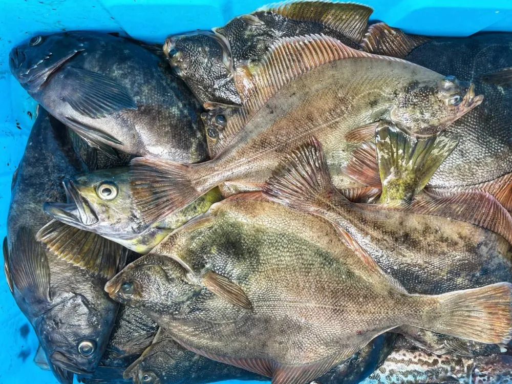 Рыболовов России ожидают приятные послабления благодаря инициативе Хабаровского края