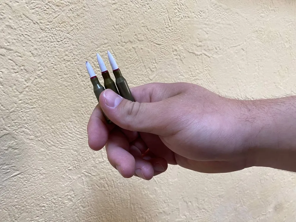 Осуждён за незаконное хранение взрывчатых веществ и боеприпасов биробиджанец