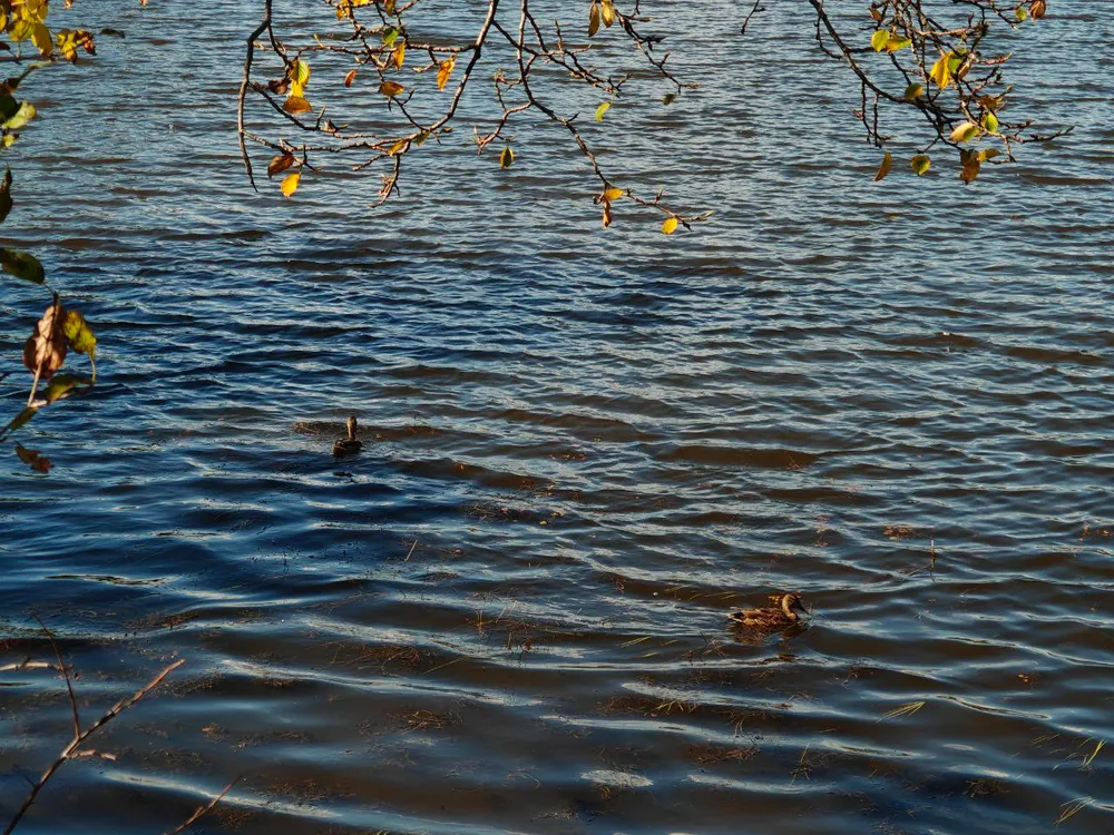 Недропользователь возместил ущерб, причиненный водному объекту в ЕАО