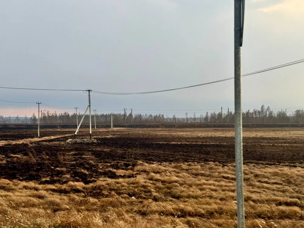 Несовершеннолетние поджигатели травы поймали в ЕАО