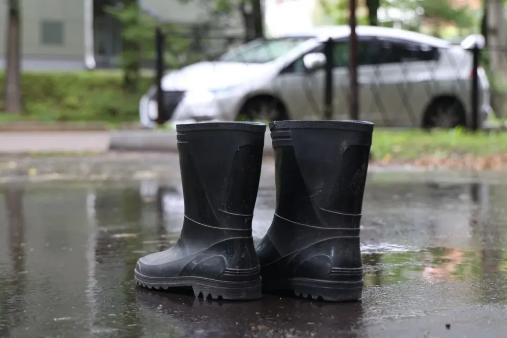 Дождливо и ветренно: погода на 3 мая в ЕАО