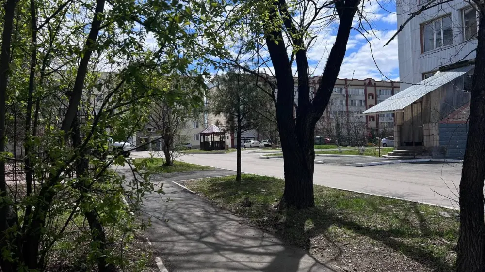 Какой будет погода в понедельник в ЕАО, рассказали синоптики