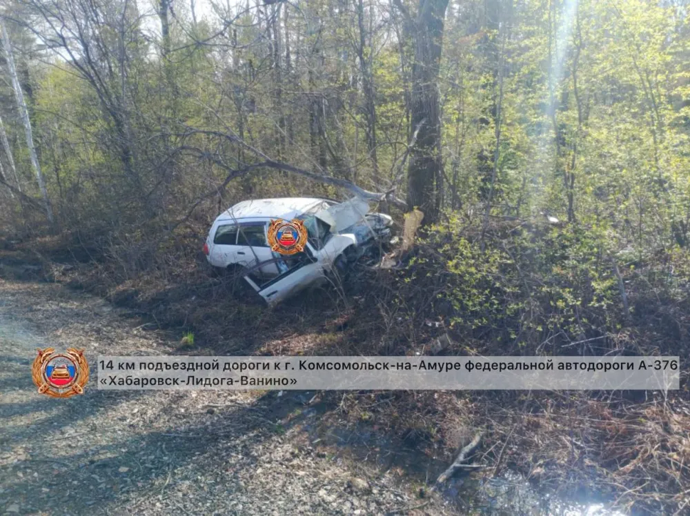 Улетел в кювет и скончался до приезда скорой водитель в Хабаровском крае