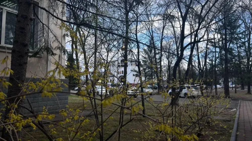 Переменная облачность и дождь: погода на 7 мая в ЕАО