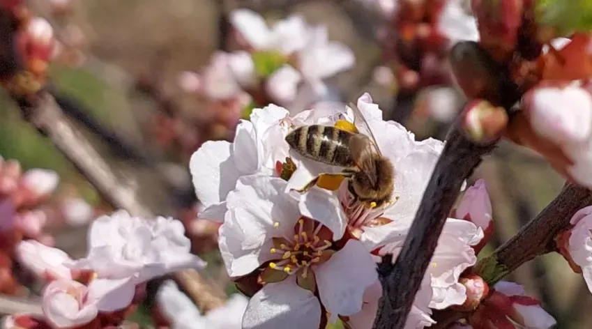 Гороскоп на 12 мая: Близнецы не давайте пустых обещаний, Рыбы не погружайтесь в фантазии