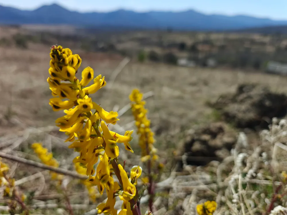 Гороскоп на 13 мая: Овны, займитесь медитацией, Рыбы, доверьтесь внутреннему голосу