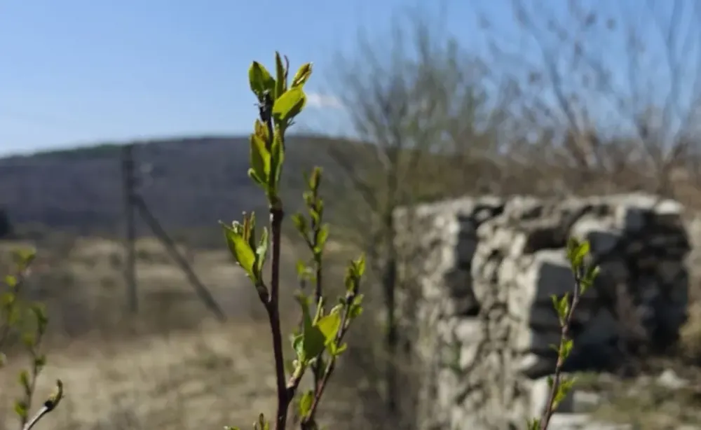 Гороскоп на 11 мая: Девам стоит проявить инициативу, а Весам будет сложно сделать выбор