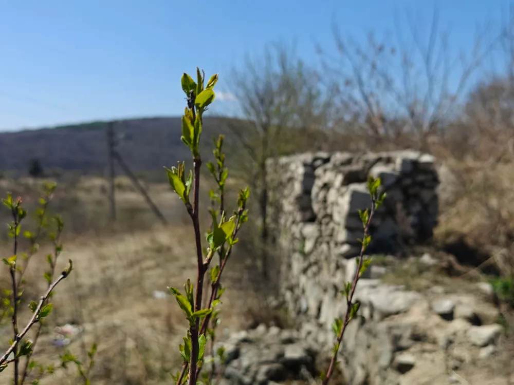 Переменная облачность и небольшой дождь: погода на 12 мая в ЕАО