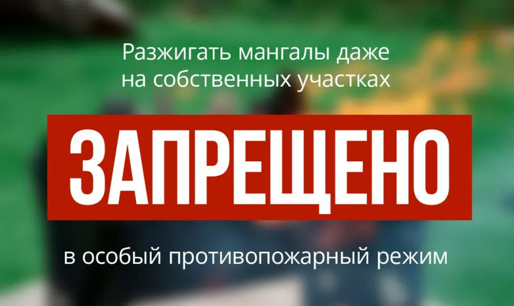 Особый противопожарный режим введен на всей территории ЕАО