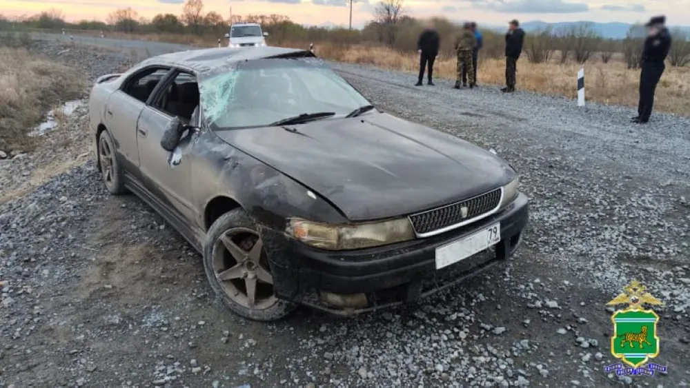 Двое детей получили травмы в результате ДТП в ЕАО