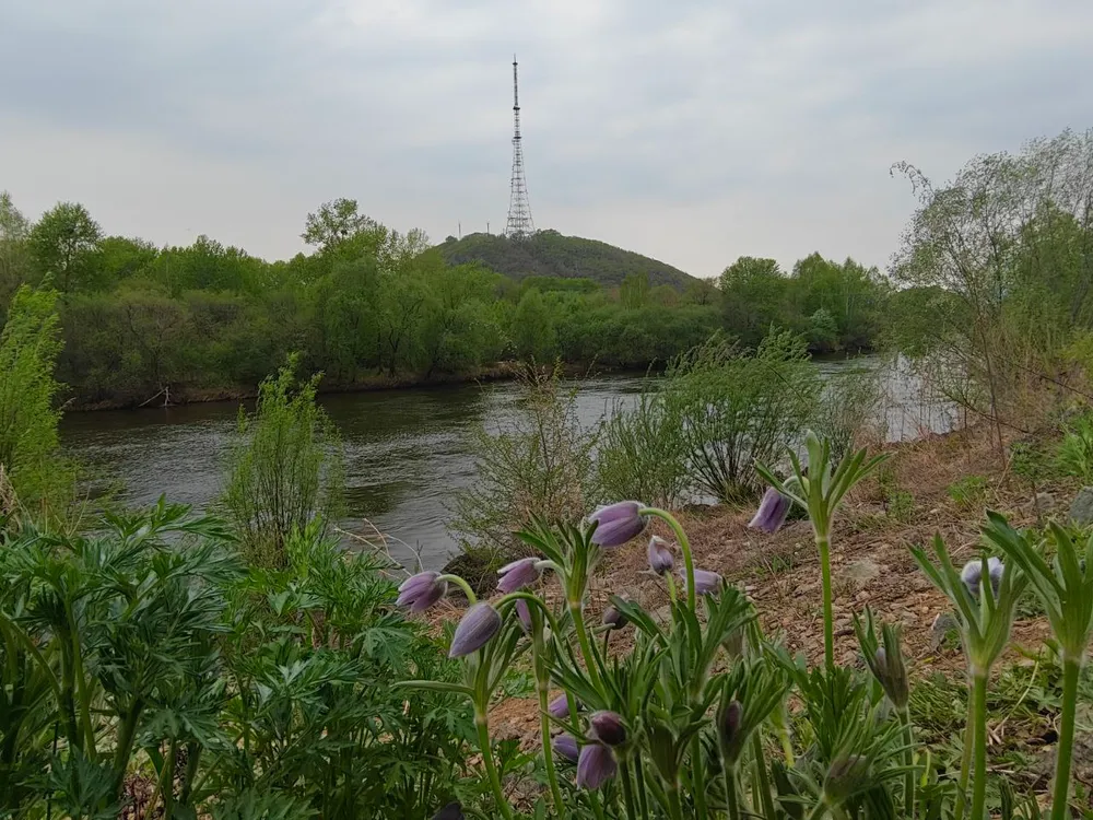Переменная облачность и ветер: погода на 14 мая в ЕАО