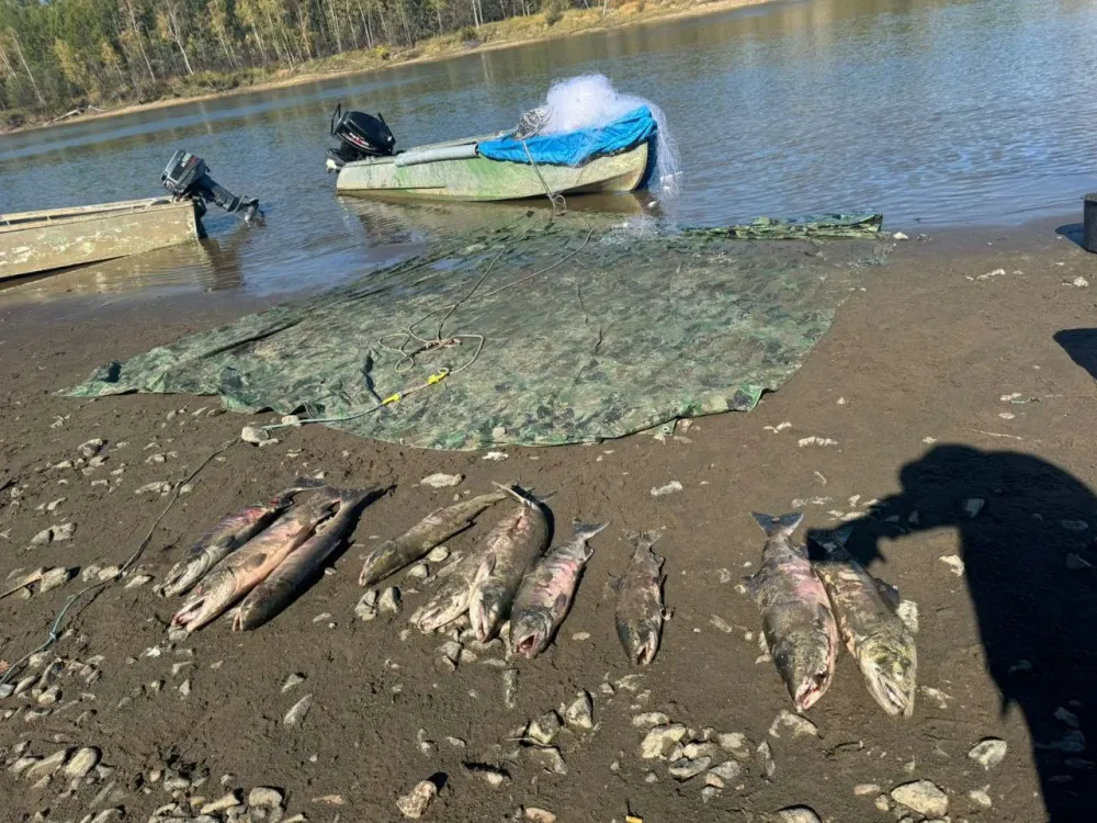 Группу браконьеров поймали во время путины на Амуре в Хабаровском крае