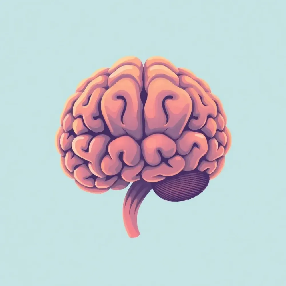 Исследования показали, что мозг работает по полушариям для обработки зрения