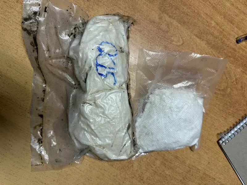 Закладчик с крупной партией мефедрона задержан при попытке ввоза наркотиков в Хабаровск