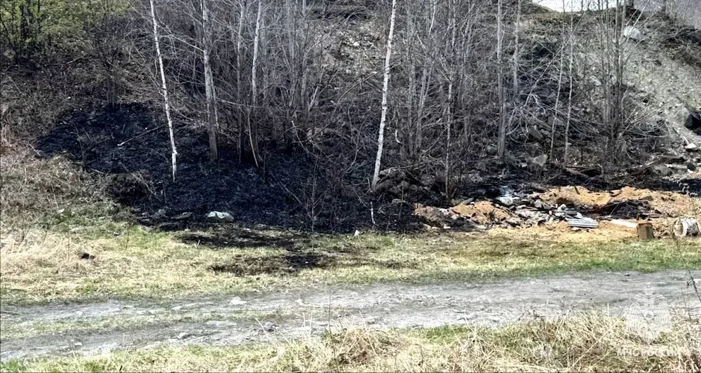 Установили поджигателя сухой травы в ЕАО по горячим следам