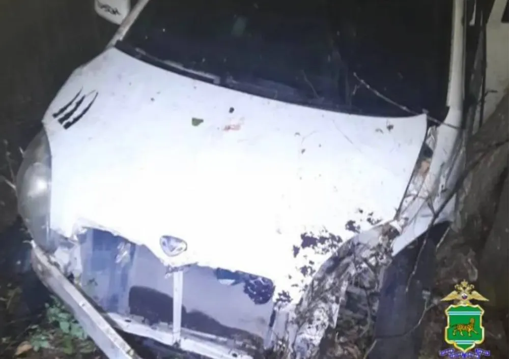 Четыре человека пострадали в ДТП в пригороде Биробиджана