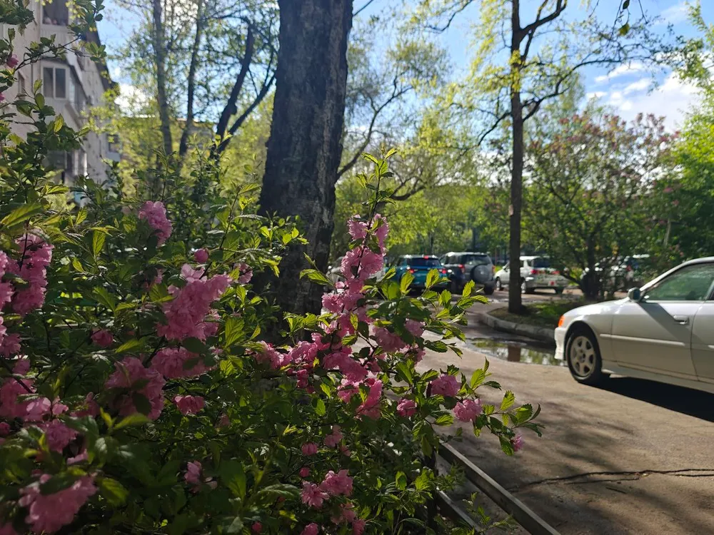 Небольшой дождь, до +9°: погода на 22 мая в ЕАО