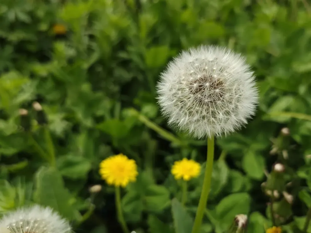 Гороскоп на 28 мая: Тельцы будьте терпимее, Водолеи ждите сюрприза