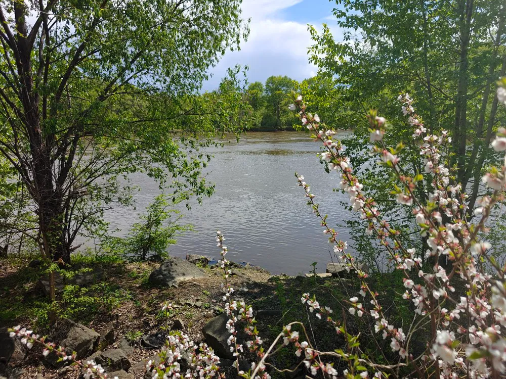 Переменная облачность, небольшой дождь: погода на 21 мая в ЕАО