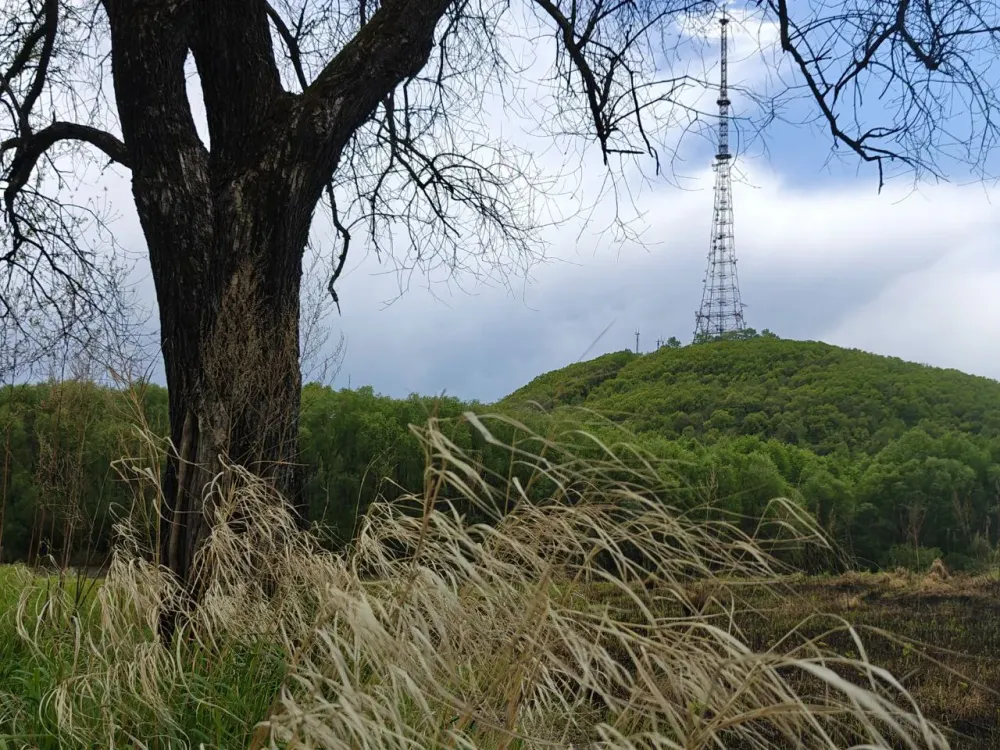 Тепло и ветрено: погода на 26 мая в ЕАО