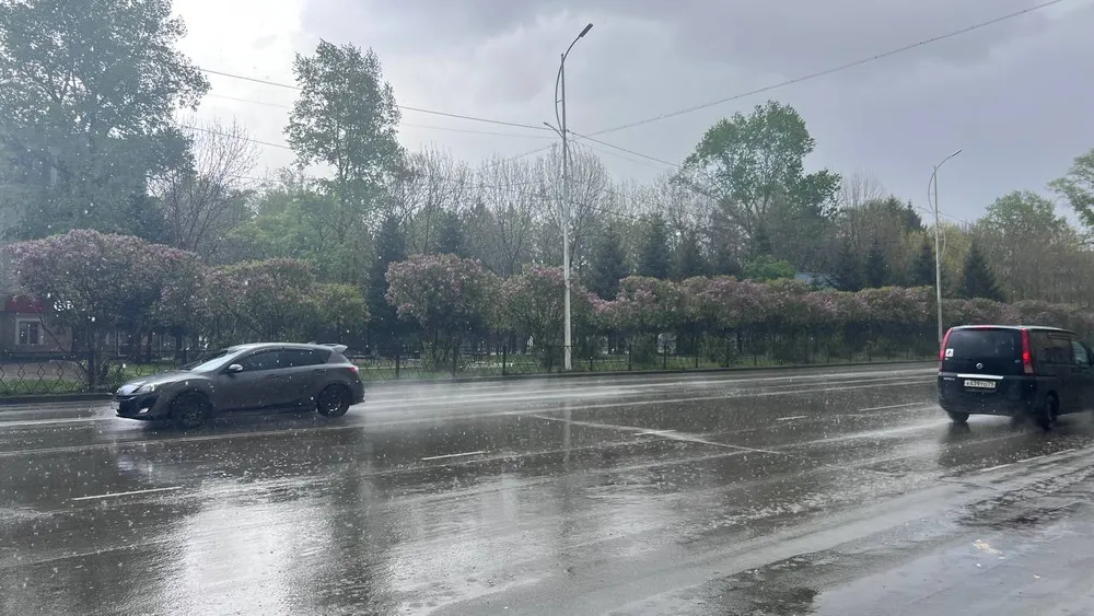 Небольшой дождь и ветер: погода на 24 мая в ЕАО