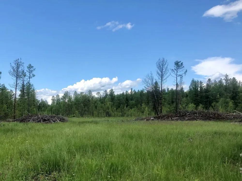 Вернуть свыше 11 га земли требует прокуратура Хабаровского края в муниципальную собственность